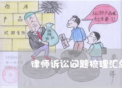 律师诉讼问题梳理与案件分析 2022年最新动态与实务解析